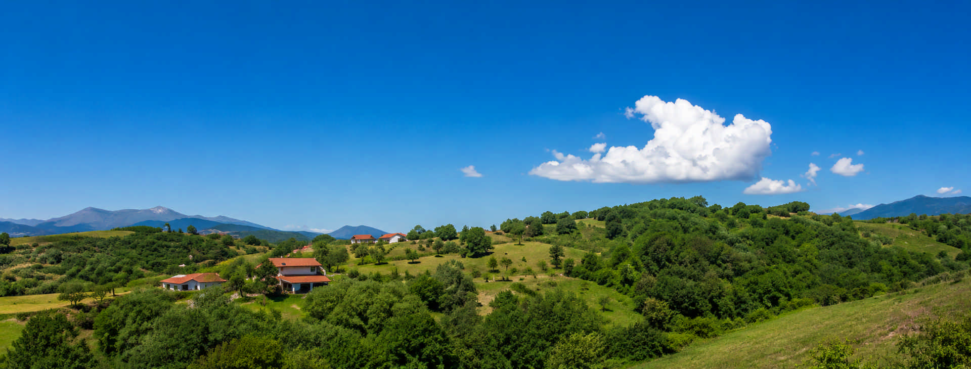 Read more about the article AgriLearning Cilento